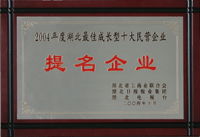 最佳成長型十大民營企業